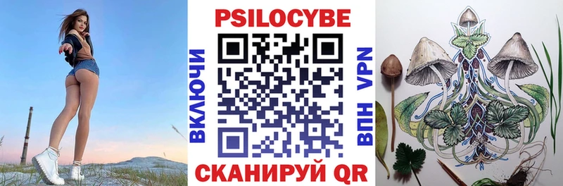 Псилоцибиновые грибы GOLDEN TEACHER  Владимир 